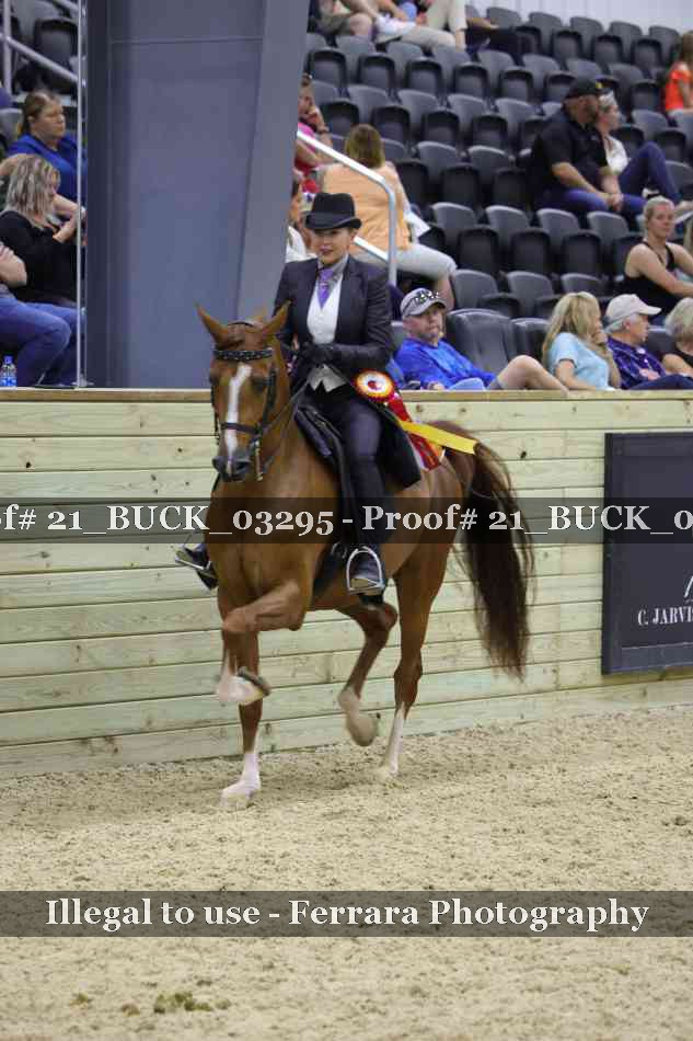 Proof 21_BUCK_03295