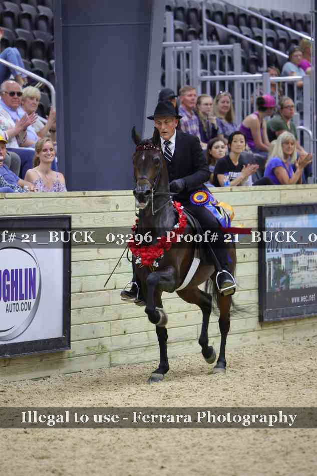 Proof 21_BUCK_03296