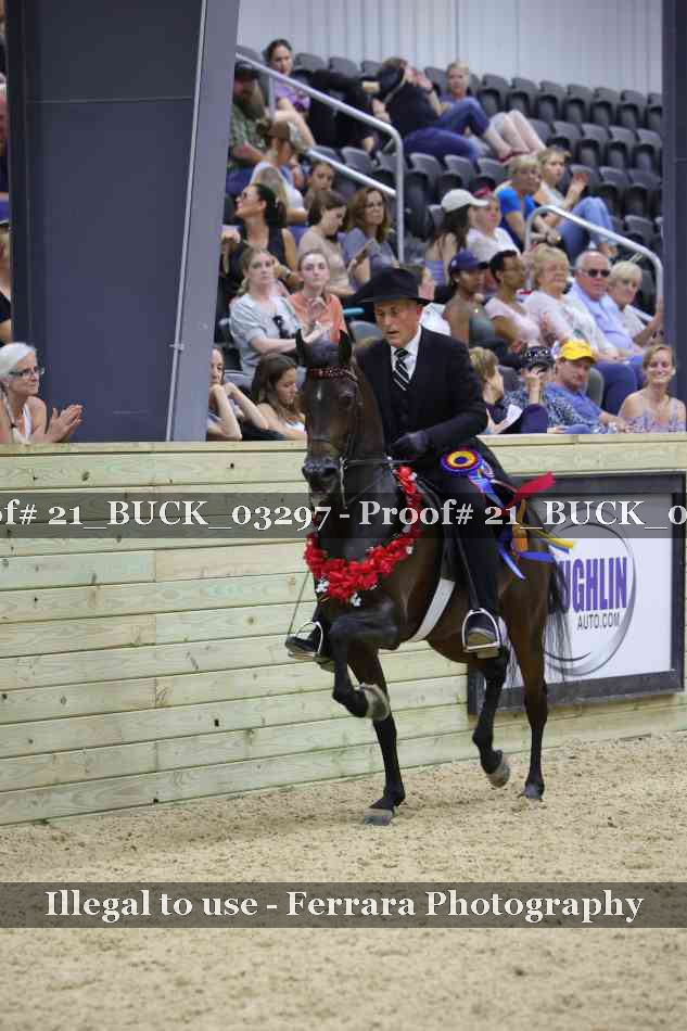 Proof 21_BUCK_03297