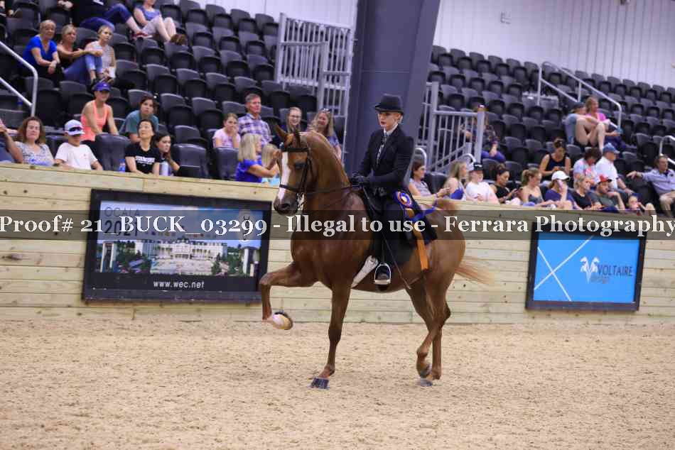 Proof 21_BUCK_03299