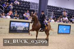 21_BUCK_03299 proof