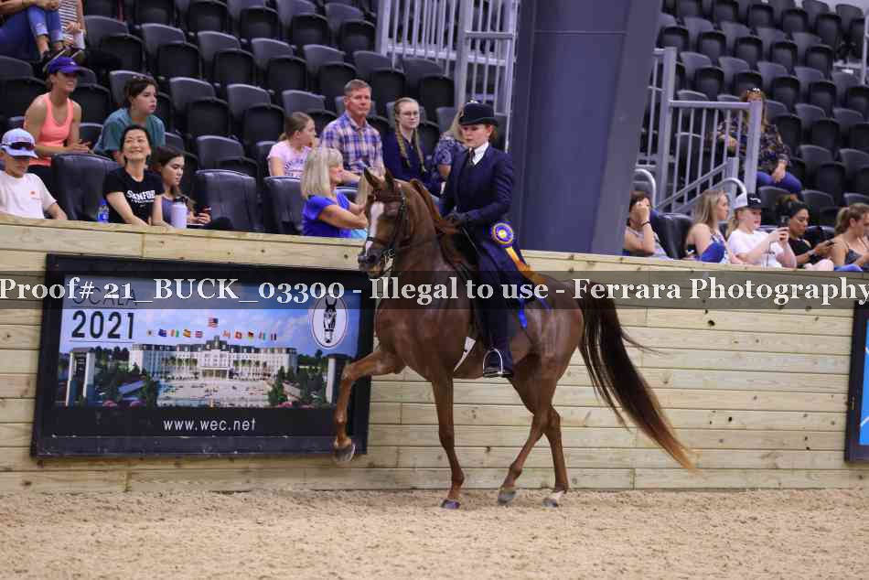 Proof 21_BUCK_03300