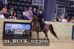 21_BUCK_03300 proof