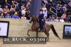 21_BUCK_03301 proof