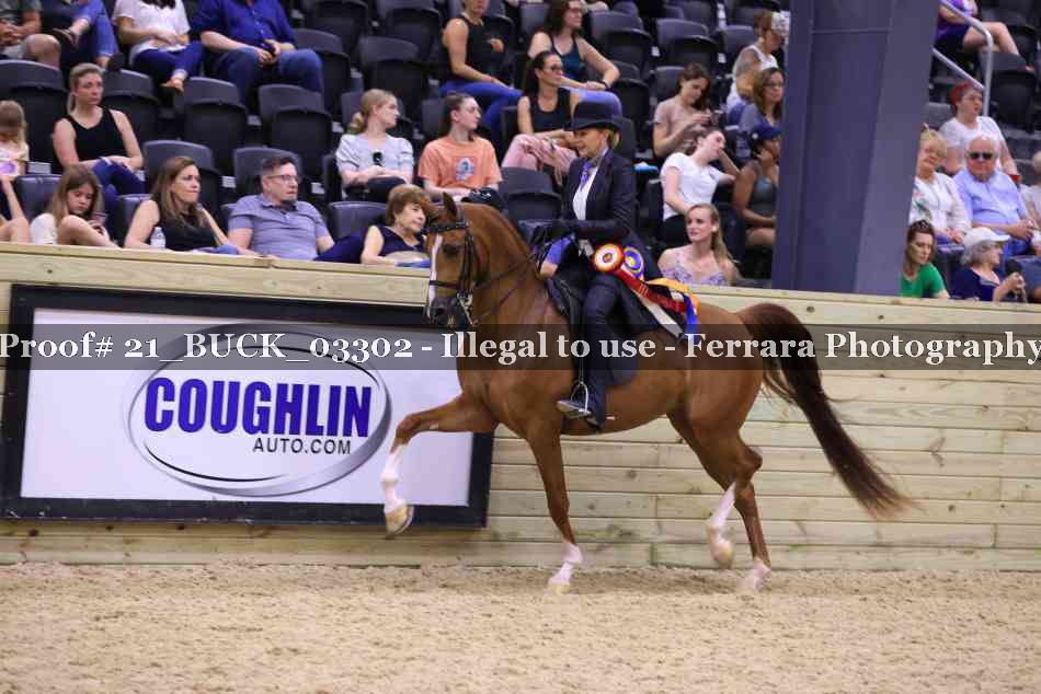 Proof 21_BUCK_03302