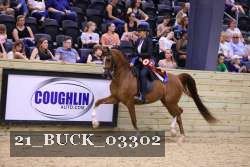 21_BUCK_03302 proof