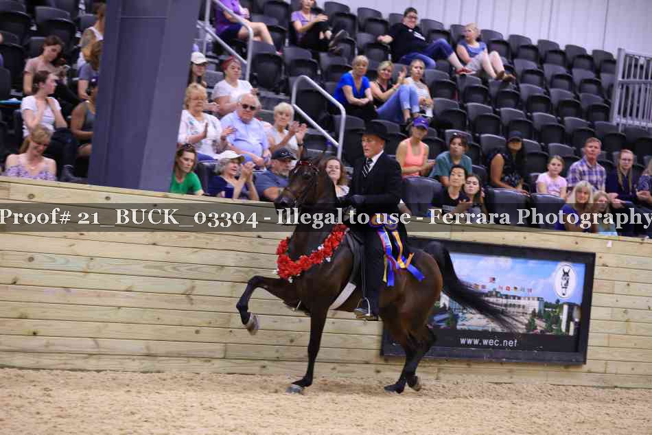Proof 21_BUCK_03304