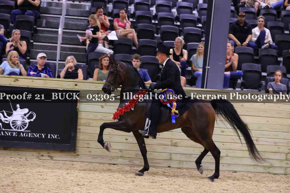 Proof 21_BUCK_03305