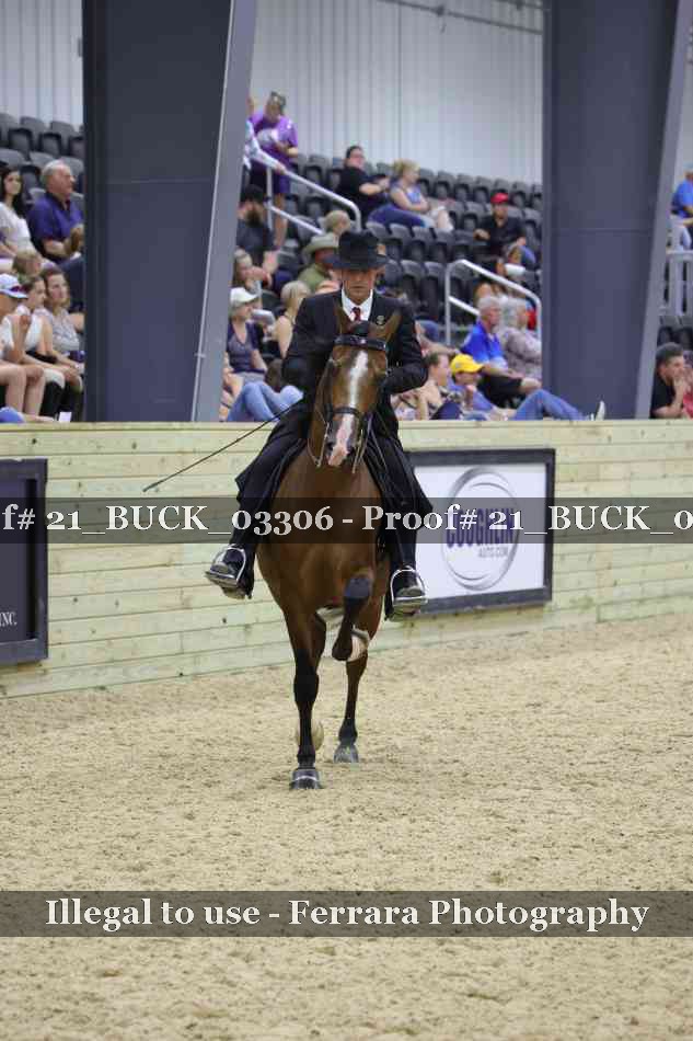 Proof 21_BUCK_03306