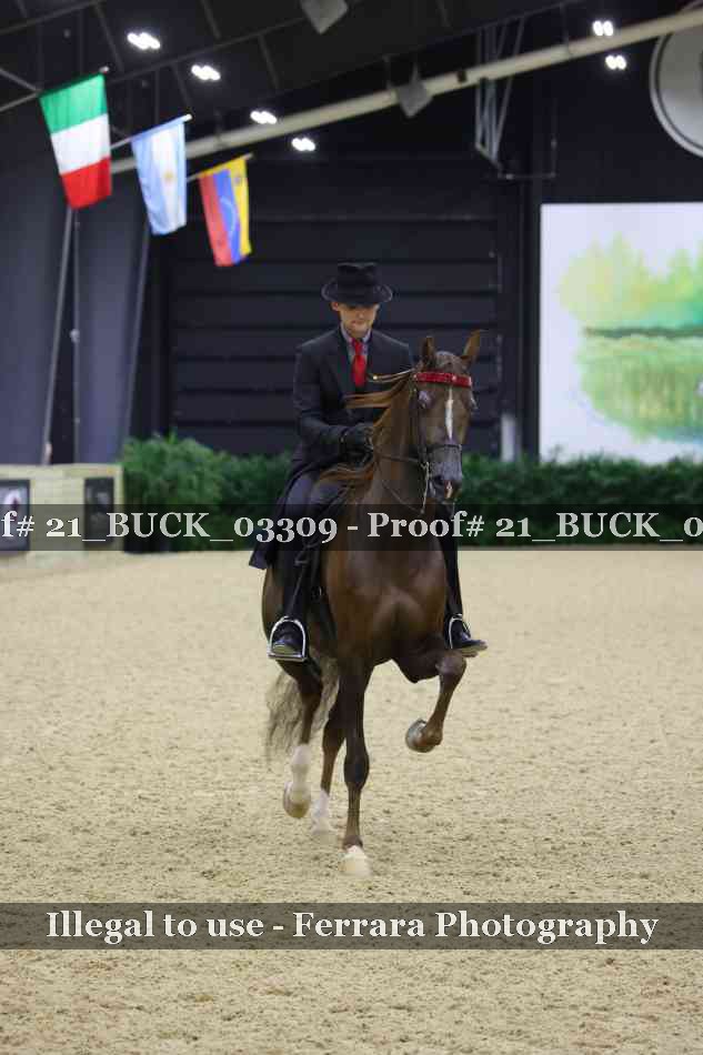 Proof 21_BUCK_03309