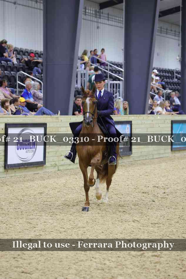 Proof 21_BUCK_03310