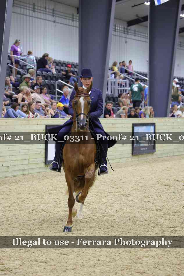 Proof 21_BUCK_03311