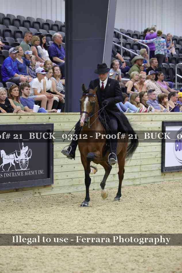 Proof 21_BUCK_03312