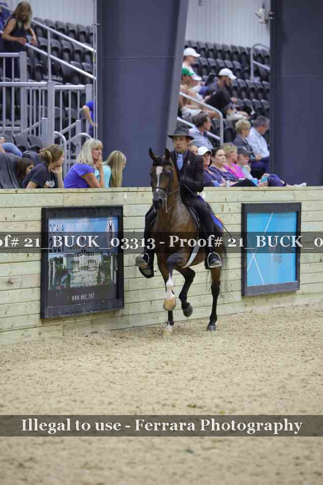 Proof 21_BUCK_03313
