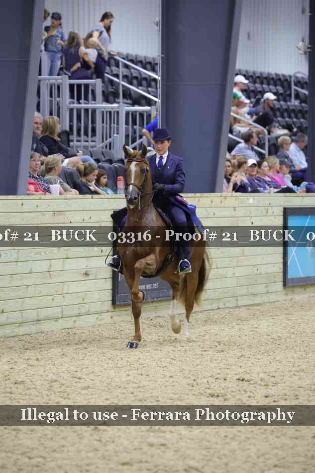 Proof 21_BUCK_03316