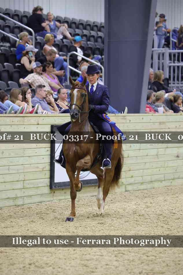 Proof 21_BUCK_03317