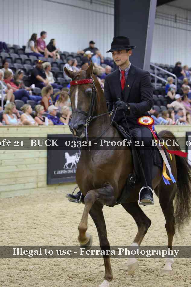 Proof 21_BUCK_03321