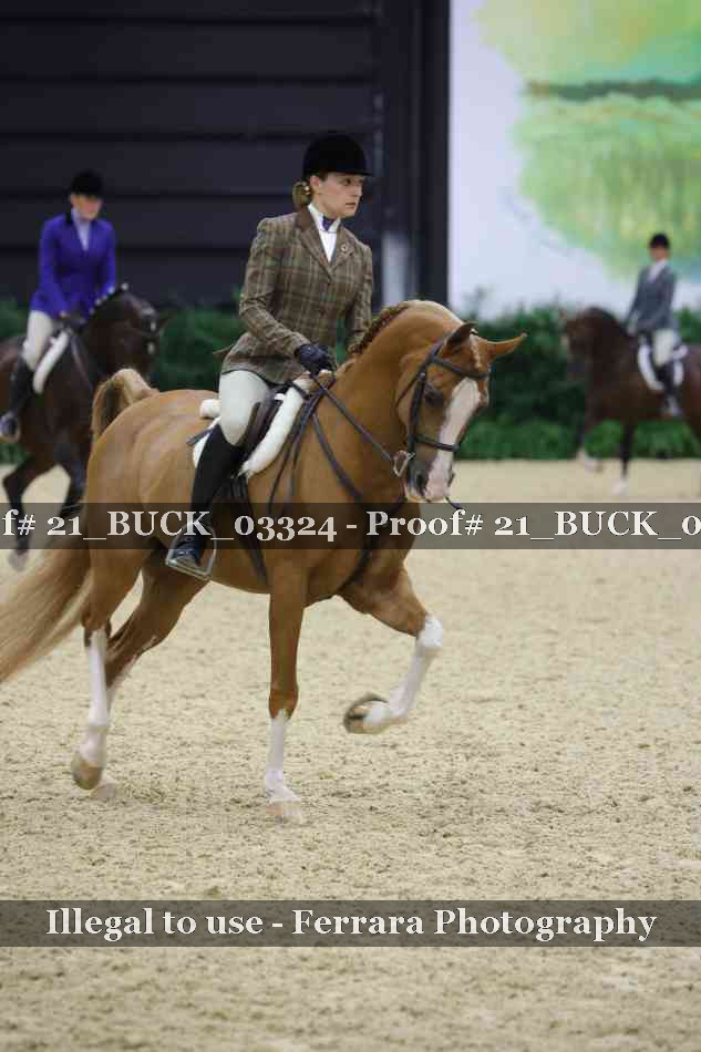 Proof 21_BUCK_03324