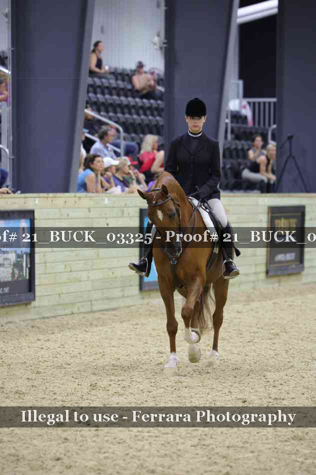 Proof 21_BUCK_03325