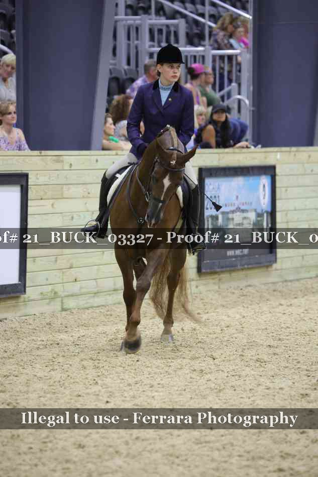 Proof 21_BUCK_03327