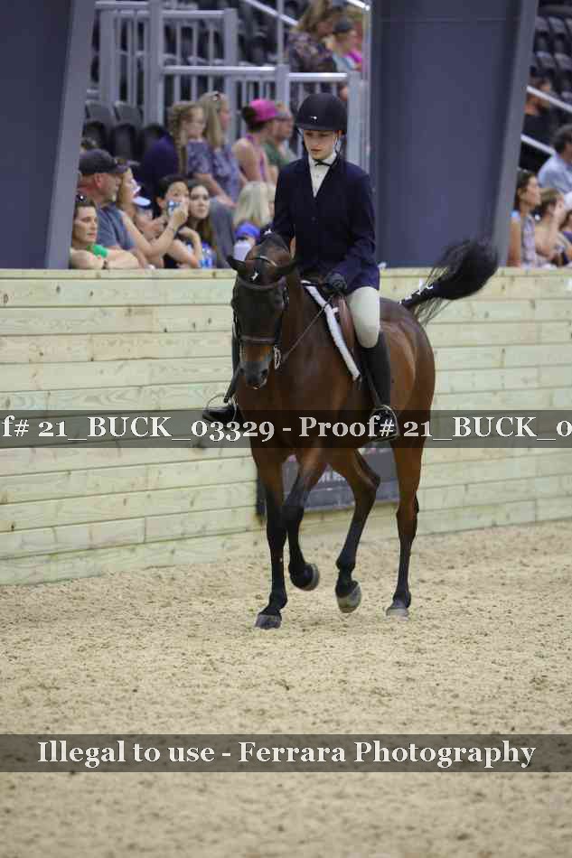 Proof 21_BUCK_03329