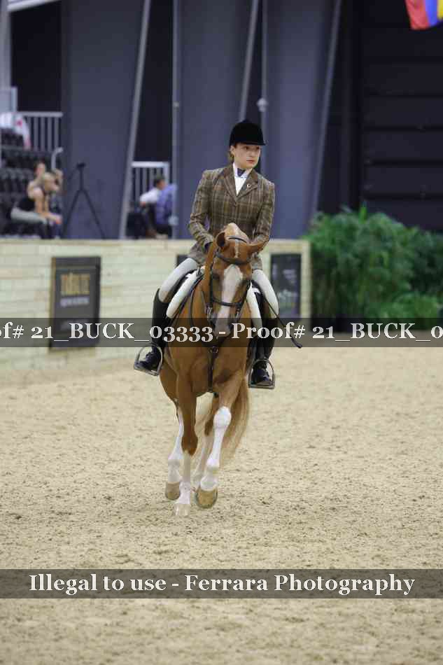 Proof 21_BUCK_03333