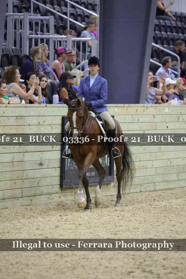 Proof 21_BUCK_03336