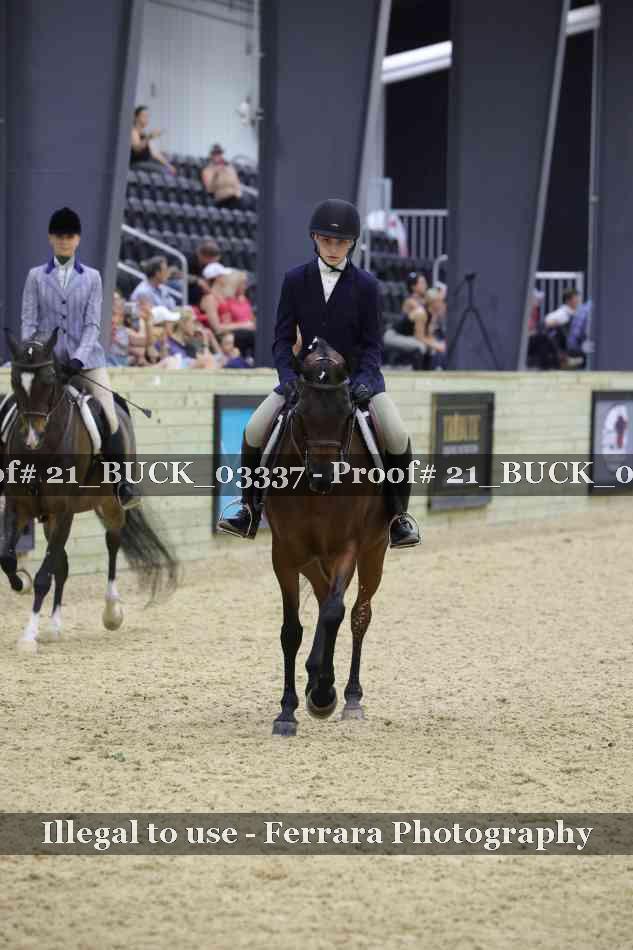 Proof 21_BUCK_03337