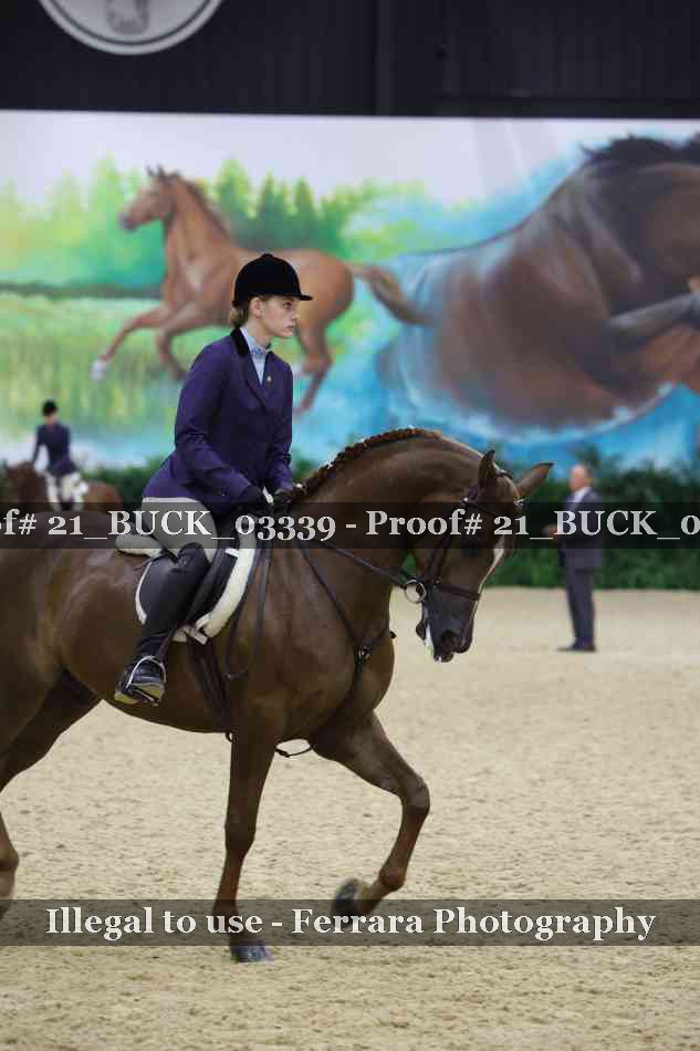Proof 21_BUCK_03339