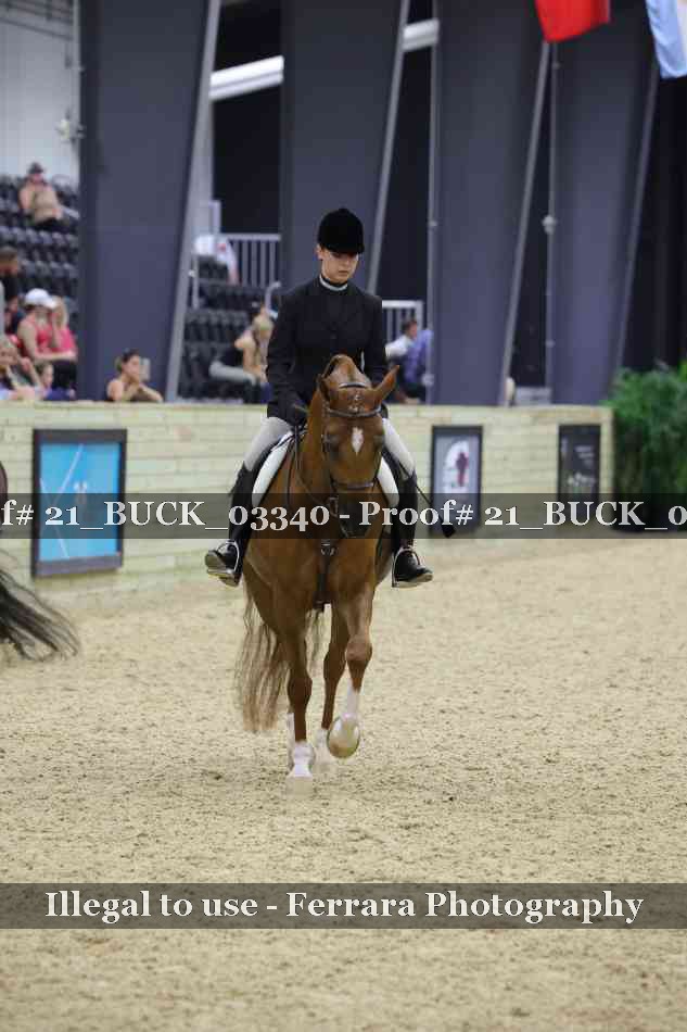 Proof 21_BUCK_03340
