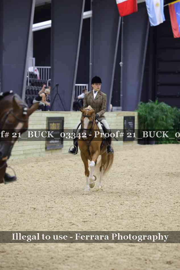 Proof 21_BUCK_03342