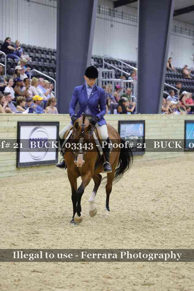 Proof 21_BUCK_03343