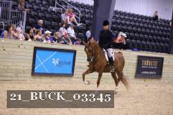 21_BUCK_03345 proof