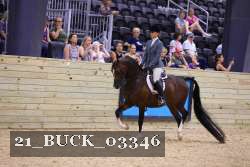 21_BUCK_03346 proof