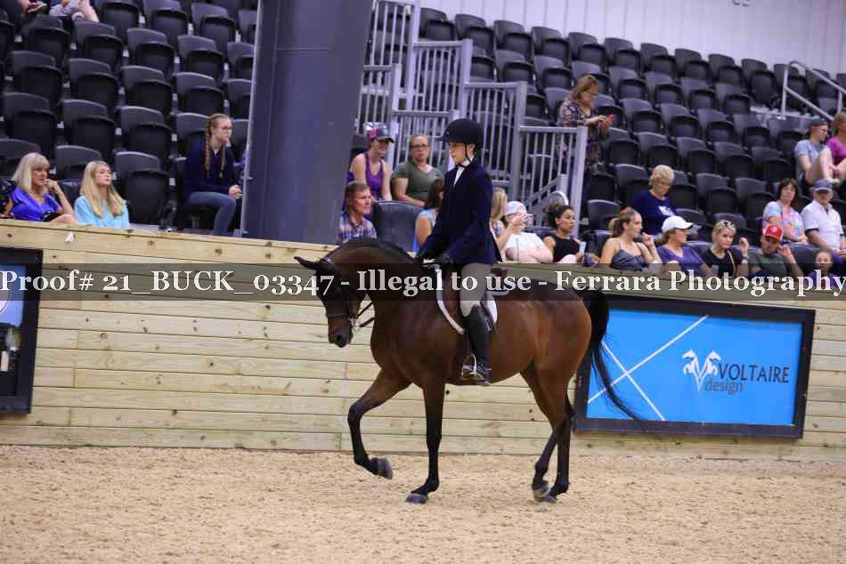 Proof 21_BUCK_03347