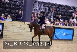 21_BUCK_03347 proof