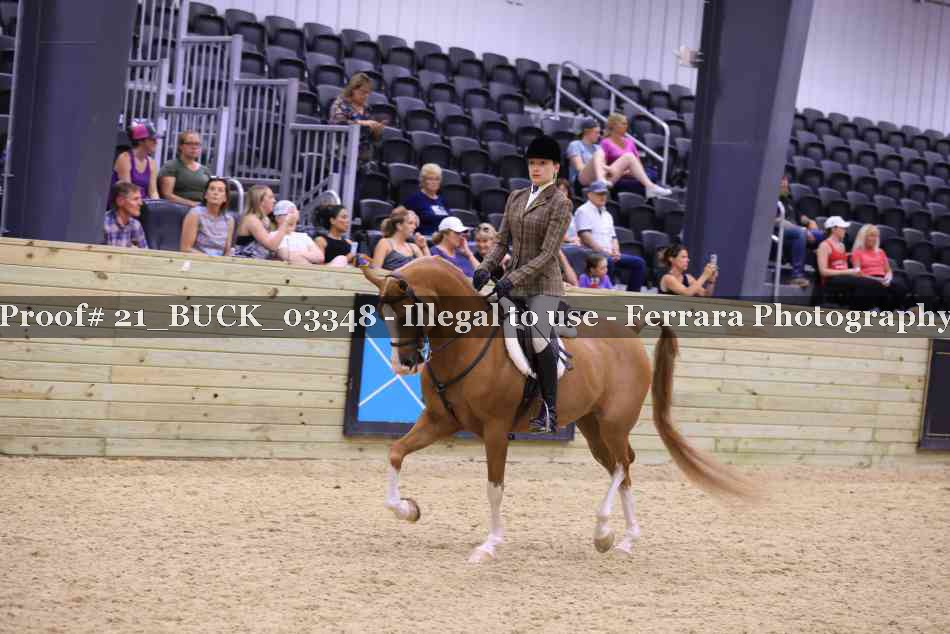 Proof 21_BUCK_03348