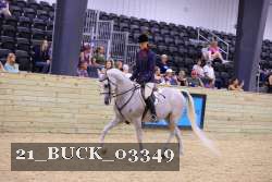 21_BUCK_03349 proof