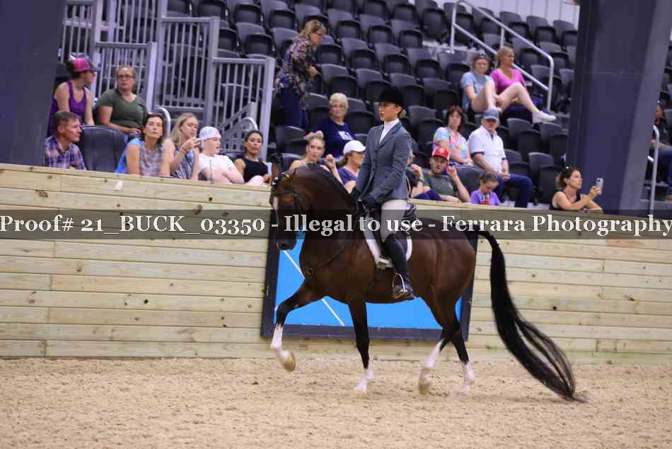 Proof 21_BUCK_03350