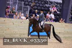 21_BUCK_03350 proof