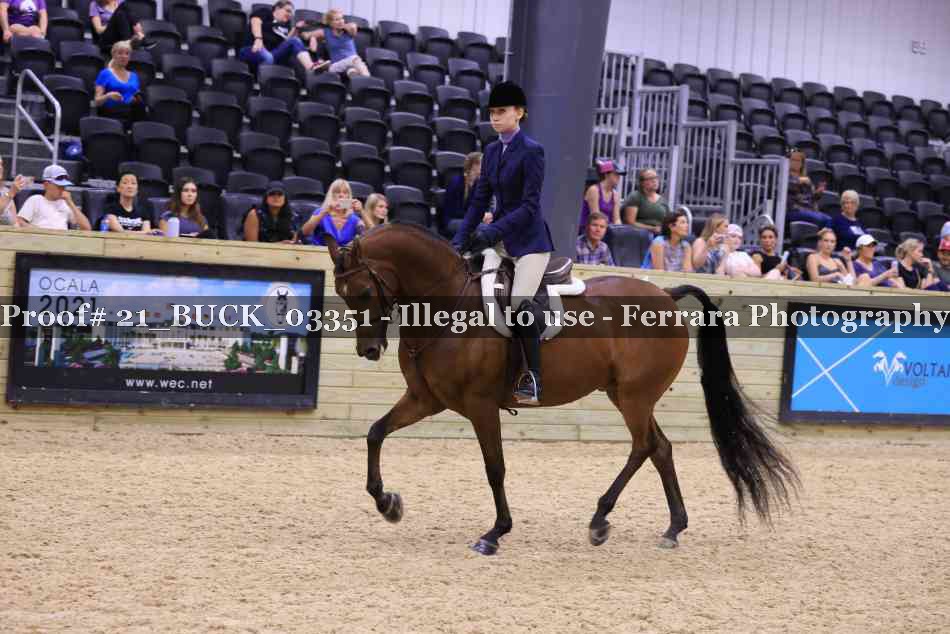 Proof 21_BUCK_03351