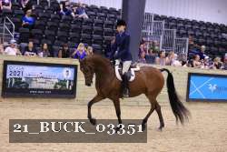 21_BUCK_03351 proof