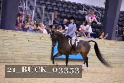 21_BUCK_03353 proof