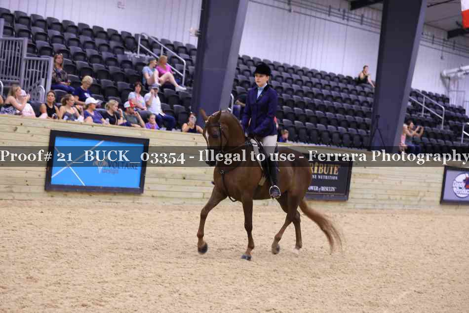 Proof 21_BUCK_03354