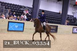 21_BUCK_03354 proof