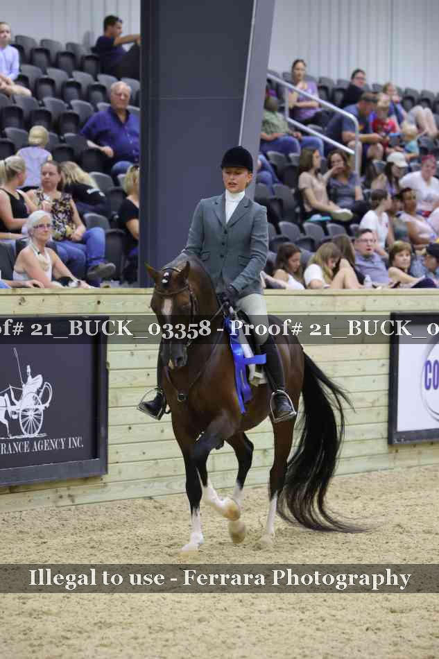Proof 21_BUCK_03358