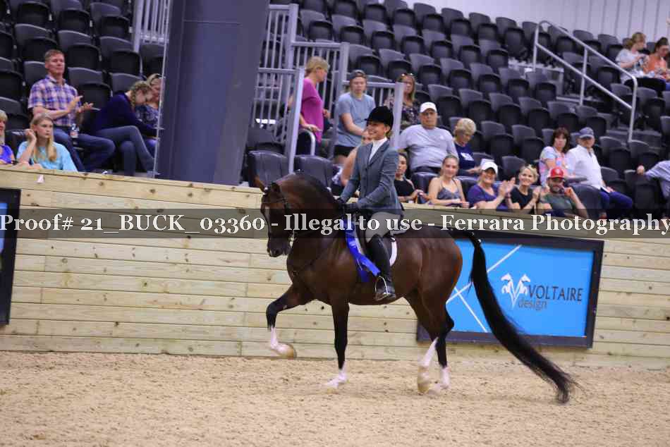 Proof 21_BUCK_03360
