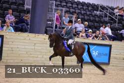 21_BUCK_03360 proof