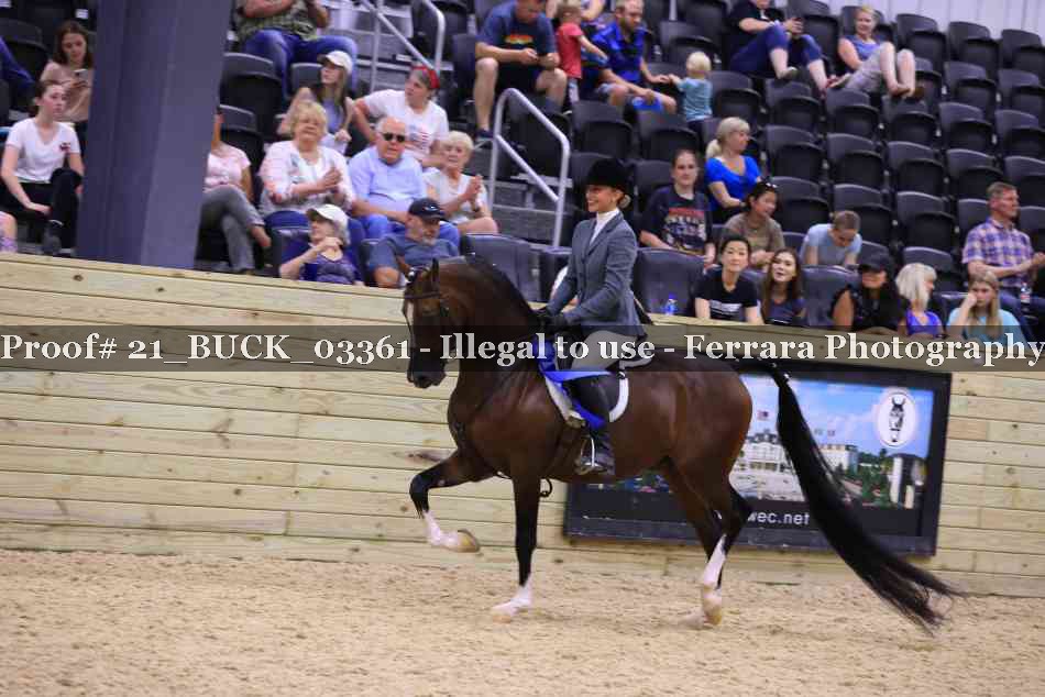 Proof 21_BUCK_03361