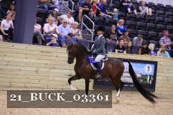 21_BUCK_03361 proof